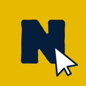 ICONO DE NETSITEWEBPRO SERVICIO DE CREACION DE PAGINA WEB EN TODA ESPAÑA